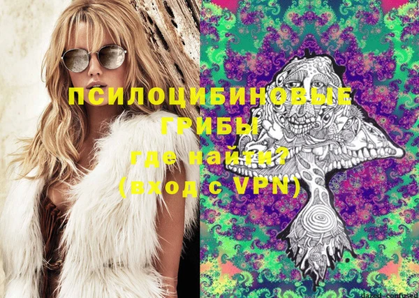 стаф Алексеевка