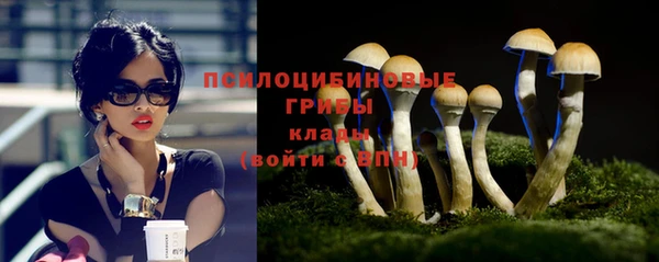 стаф Алексеевка