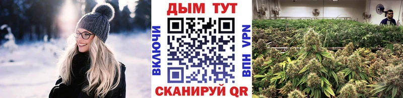 Шишки марихуана индика  Ленинск-Кузнецкий 